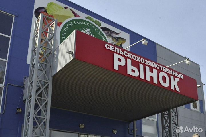 Продавец в павильон продажи птицы