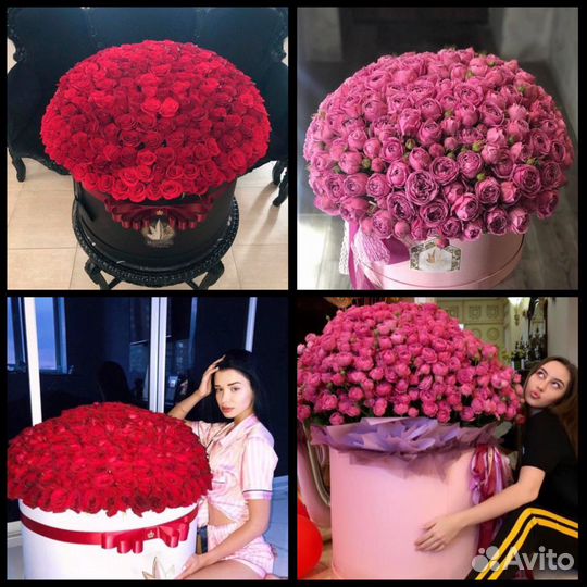 101 Роза с доставкой. Цветы. Букеты. Розы. 201 51