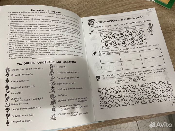 Рабочие тетради О.А.Холодова (2 части)
