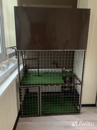 Клетка