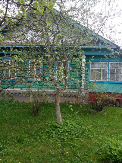 Дом 60 м² на участке 10 сот.