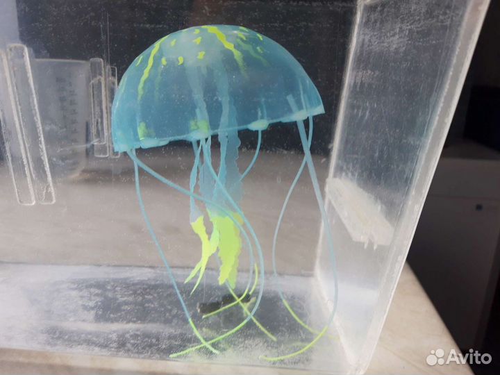 Медуза для аквариума