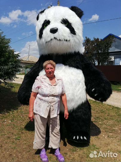 Поздравление от панды