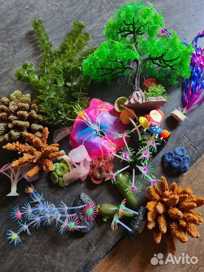 Растения в аквариум