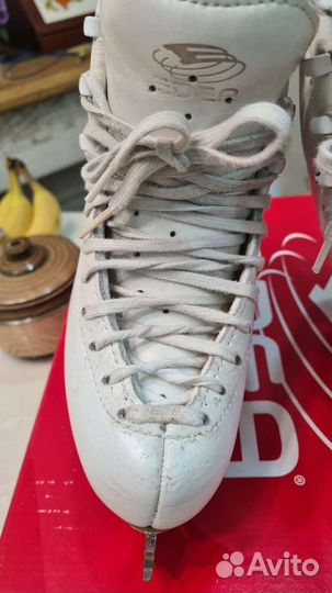 Фигурные коньки edea overture