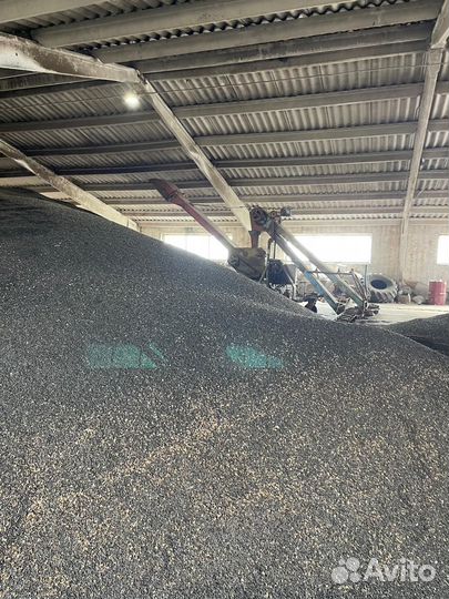 Продажа земель сельхоз назначения более 2000га