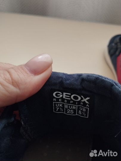 Кеды geox 25