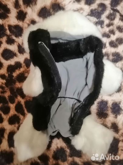 Одежда для собак мелких пород