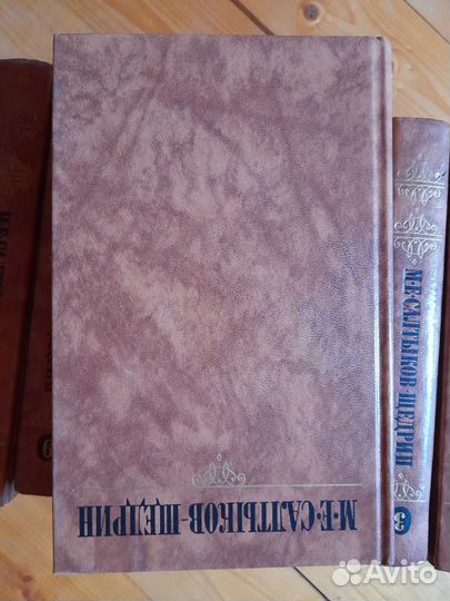 Салтыков - Щедрин, Лесков