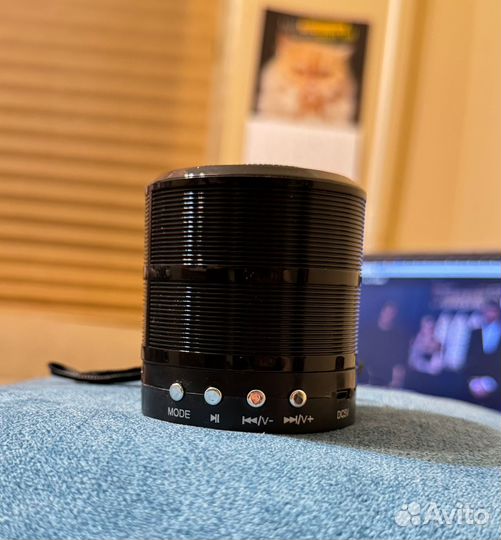 Колонка портативная flarx с кабелем USB