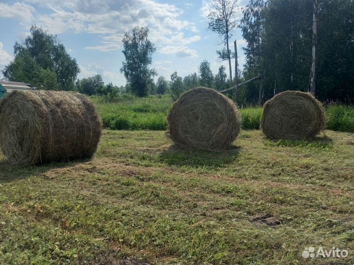 Сено в рулонах