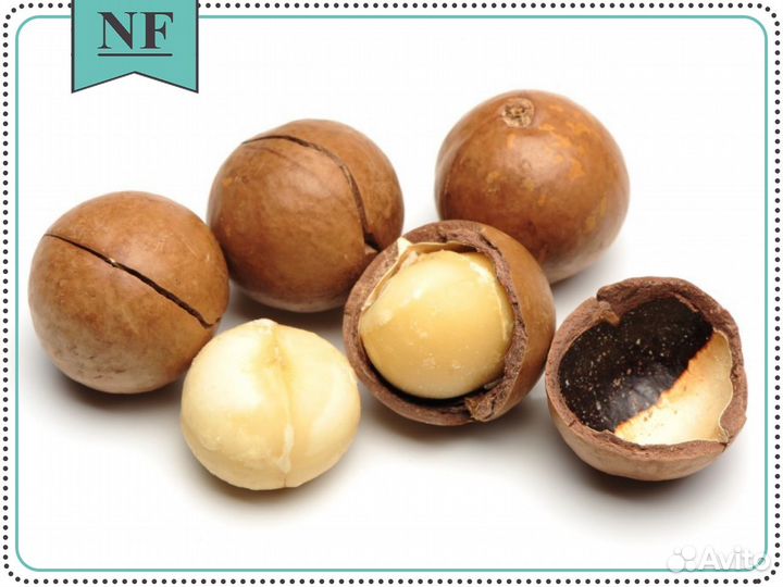 Макадамия неочищенная - оптом и в розницу