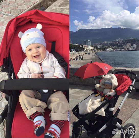 Коляска bugaboo buffalo