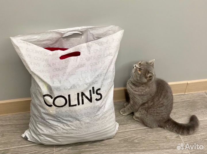 Женские вещи пакетом 40-42рр