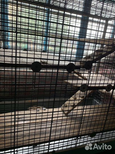Клетка для грызунов большая
