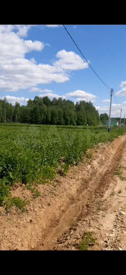 Участок 10,3 сот. (ИЖС)