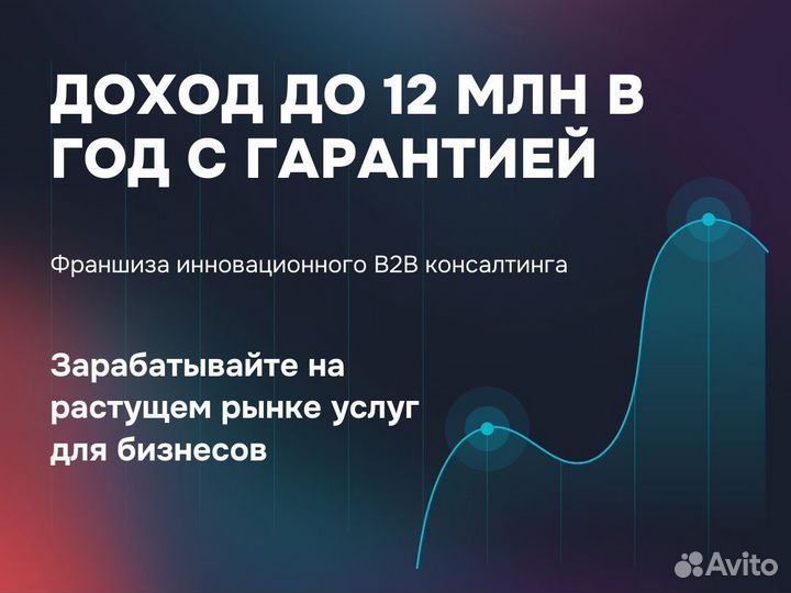 Франшиза В2В. Доход до 12 млн в год