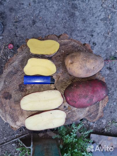 Продукты питания