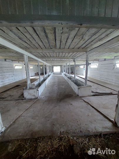 Готовый бизнес. Животноводческая ферма