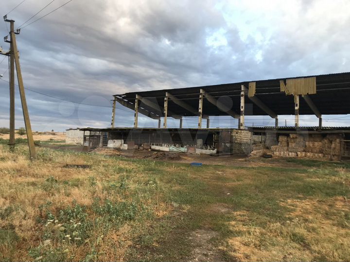 Участок 100 сот. (СНТ, ДНП)