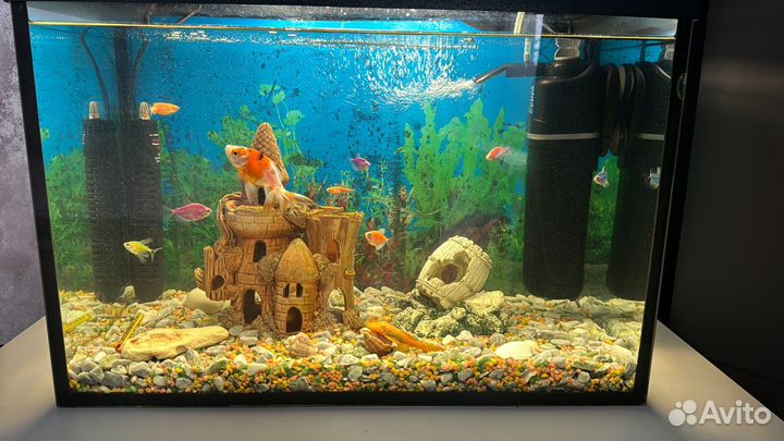 Аквариум 50 л