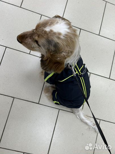 Комбинезон для собаки