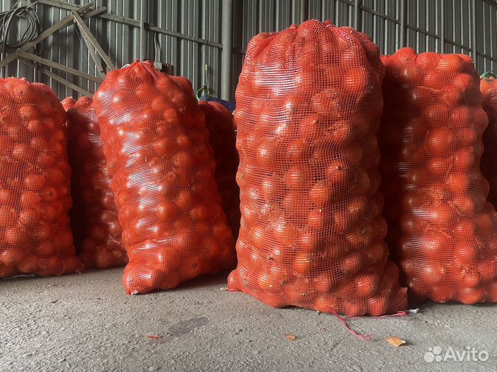 Лук репчатый оптом