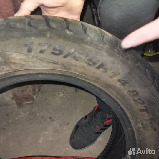 Покрышки зимние