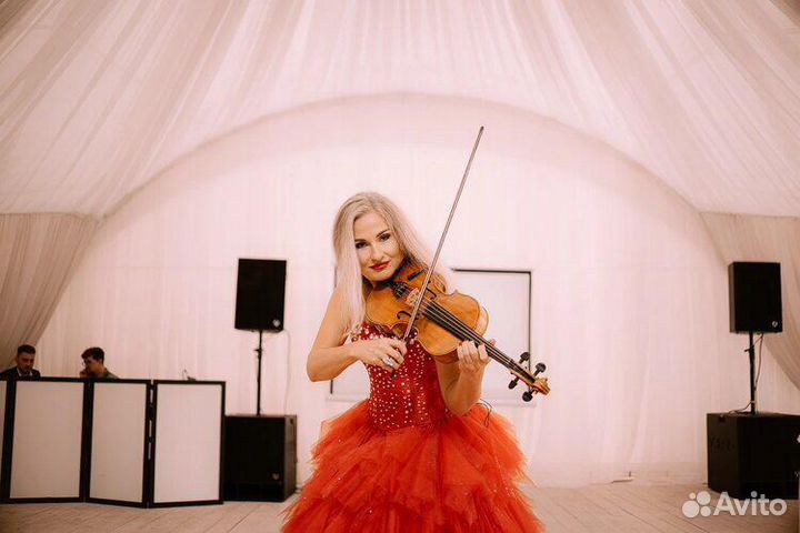 Скрипка на праздник. Музыканты. Новосибирск