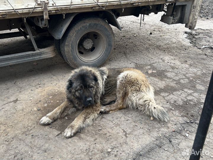 Кабель для вязки