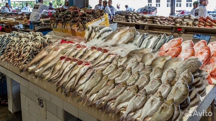 Магазин рыбы и морепродуктов с постоянной прибылью