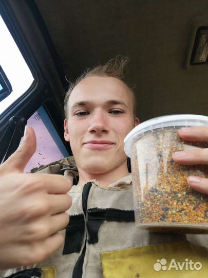 Пыльца цветочная или пчелиная обножка