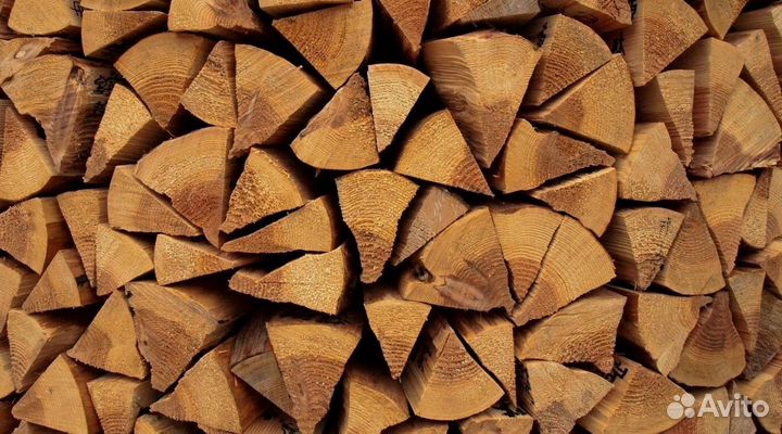 Дрова осинка