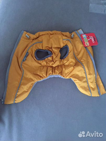 Одежда для собак