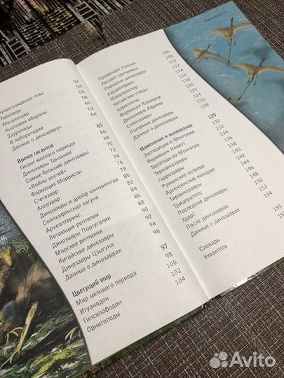 Энциклопедия для детей