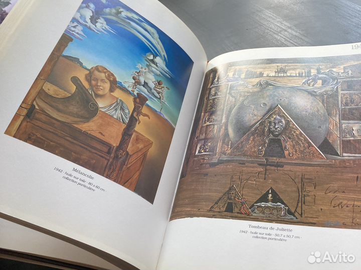 Книга Salvador Dali