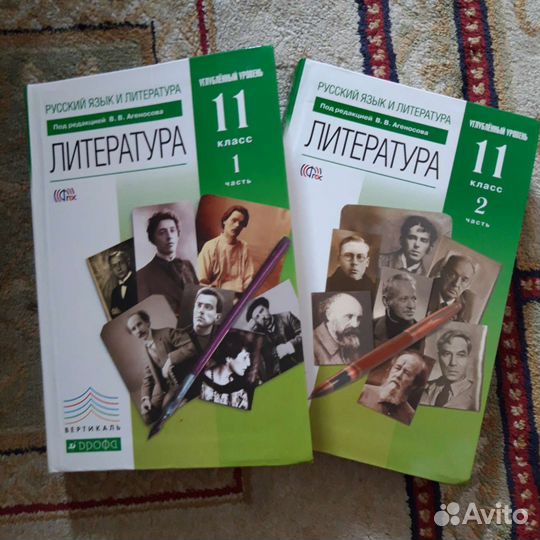 Литература 11 класс Агеносова