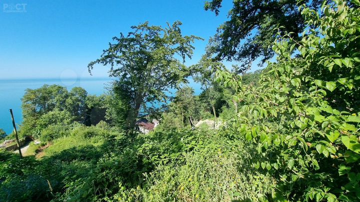 Участок 4,6 сот. (СНТ, ДНП)