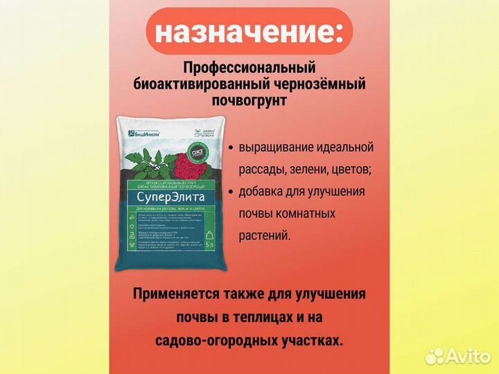 Грунт суперэлита