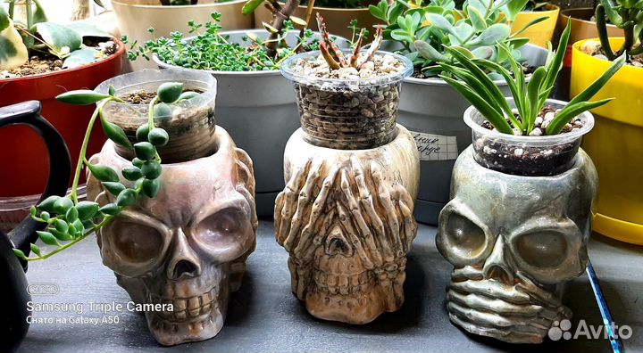 Кашпо,подарок,цветы