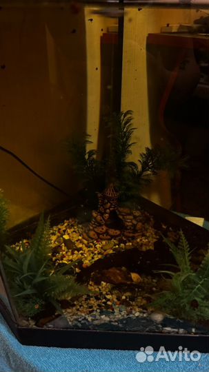 Аквариум бу