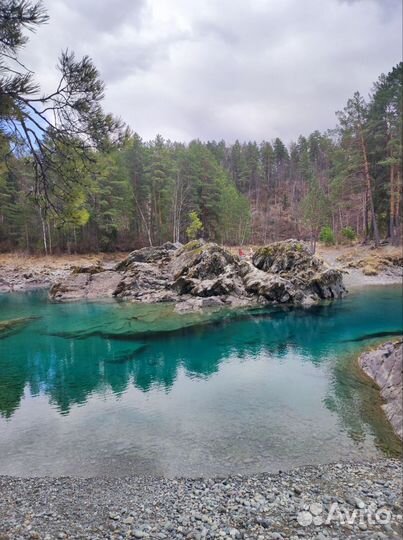 Экскурсии в горный Алтай