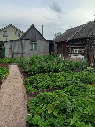 Участок 8 сот. (СНТ, ДНП)