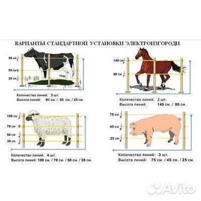 Блок питания ограждения электропастух иэ-1-2А