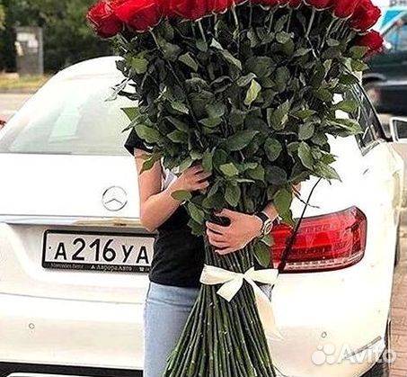 Розы гиганты 140 150 160 170 180 200