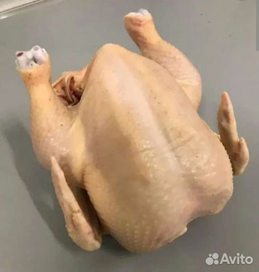 Мясо домашней птицы