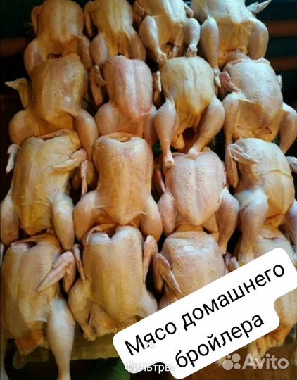 Мясо домашнего бройлера