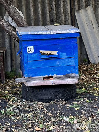 Продается Пчелосемья с ульями и без