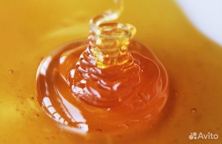 Мёд натуральный алтайский оптом минимально 16 кг