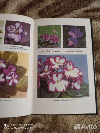 Книга Сенполии